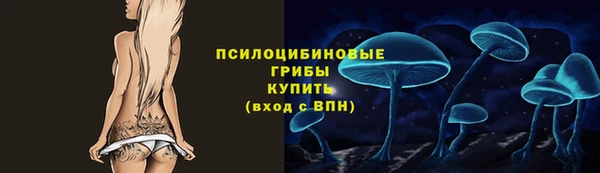 2c-b Алексеевка