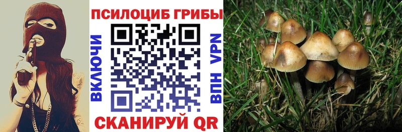 Псилоцибиновые грибы ЛСД Калязин