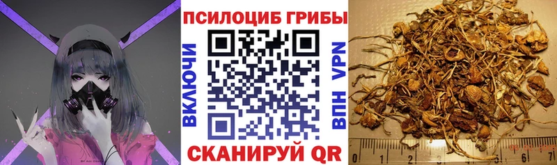 Псилоцибиновые грибы мухоморы  Калязин 
